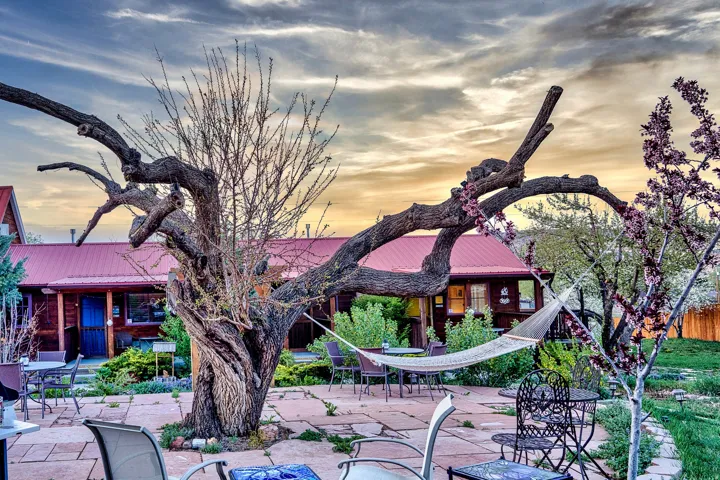 Surrounding community with a patio area