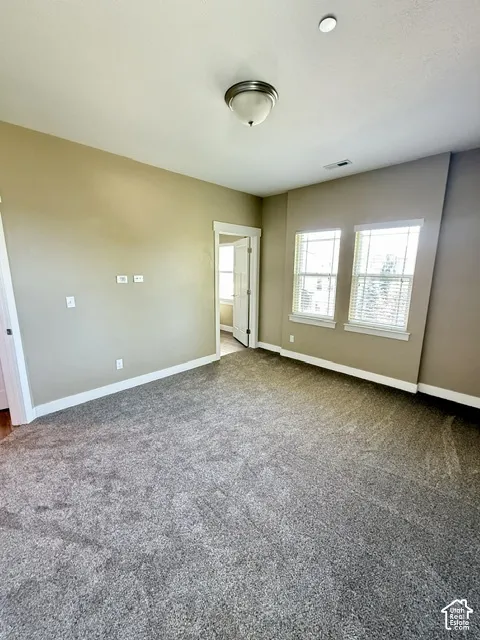 NEW CARPET