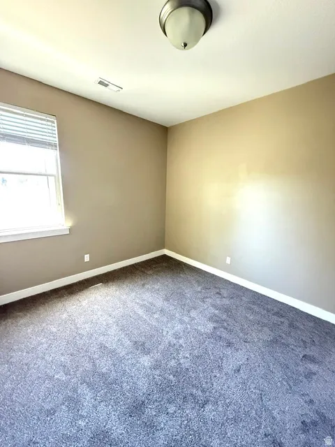 NEW CARPET