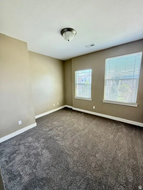 NEW CARPET