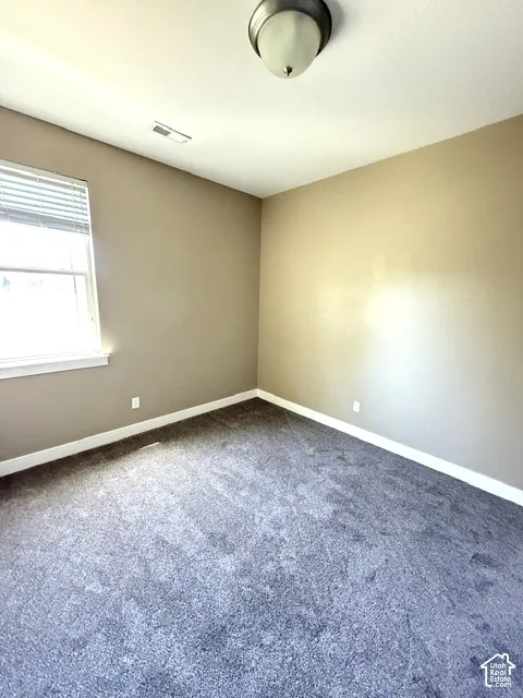 NEW CARPET