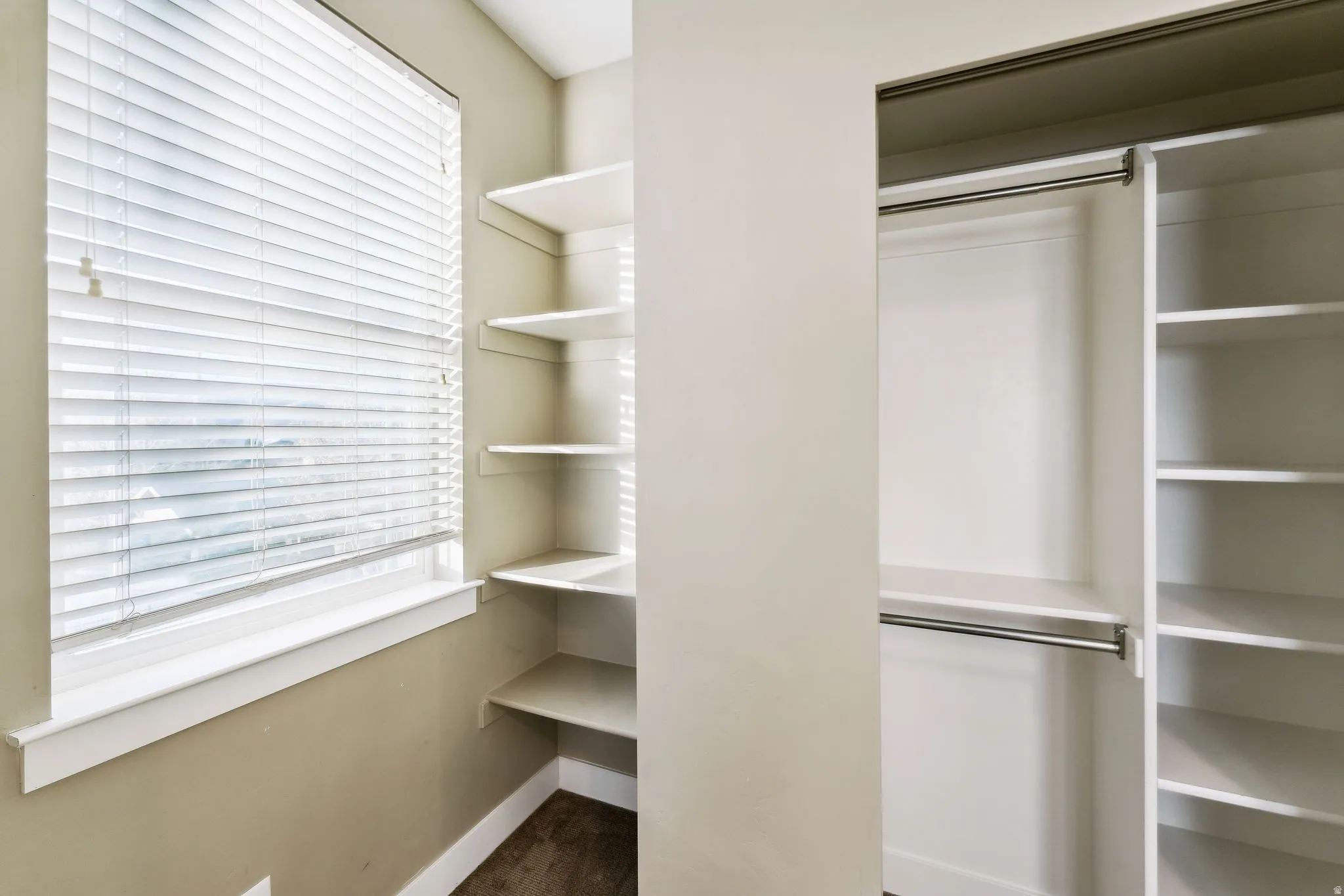 View of walk in closet