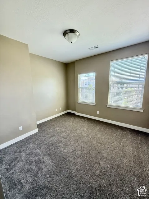 NEW CARPET