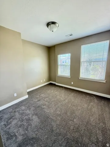 NEW CARPET