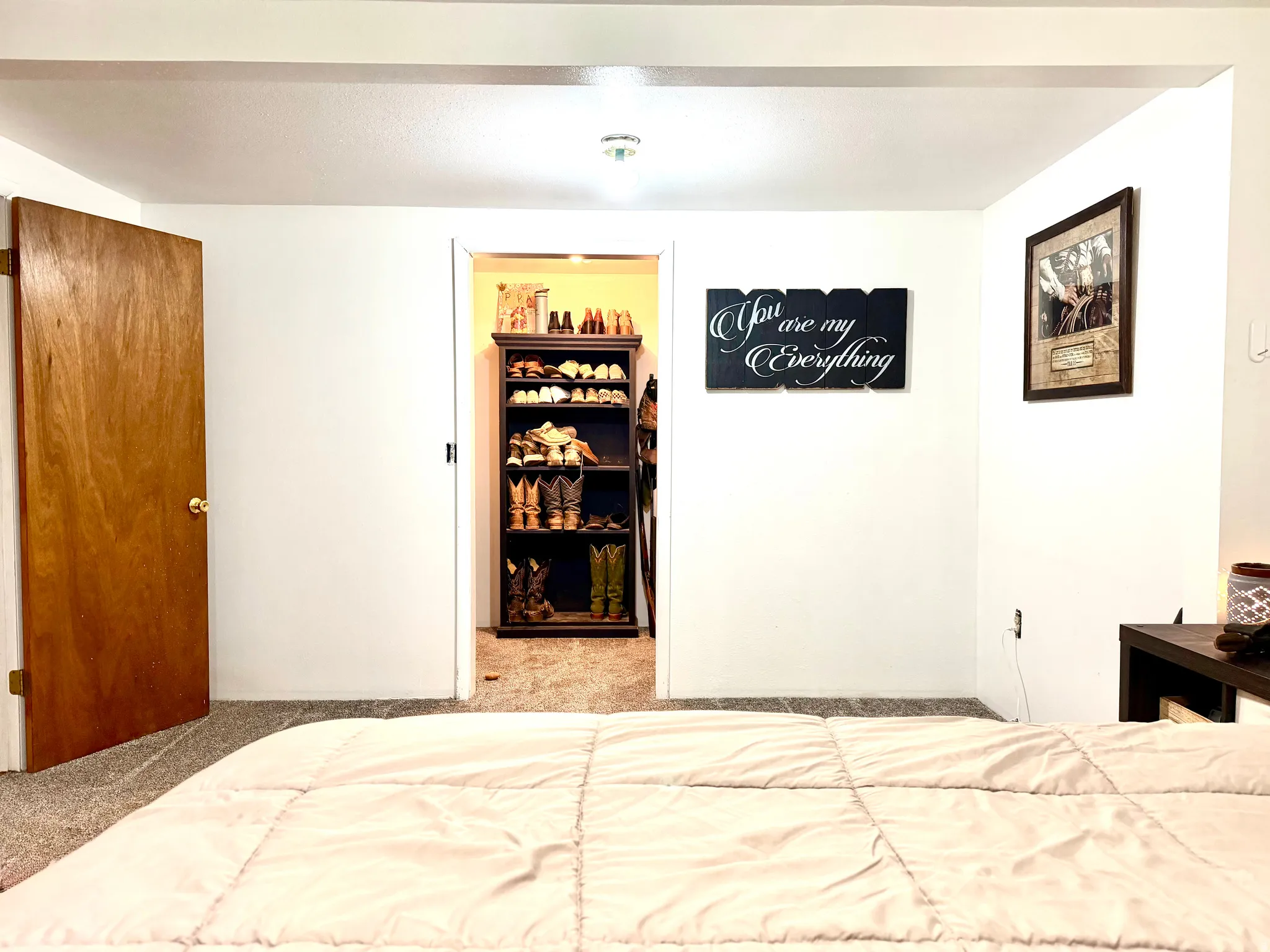 Basement Bedroom with Large Walk-in Closet