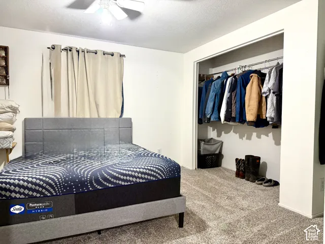Main Floor Bedroom