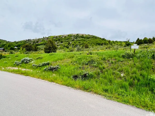 View of asphalt road with a rural view