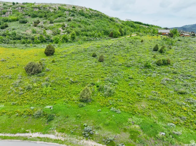 View of mountain background