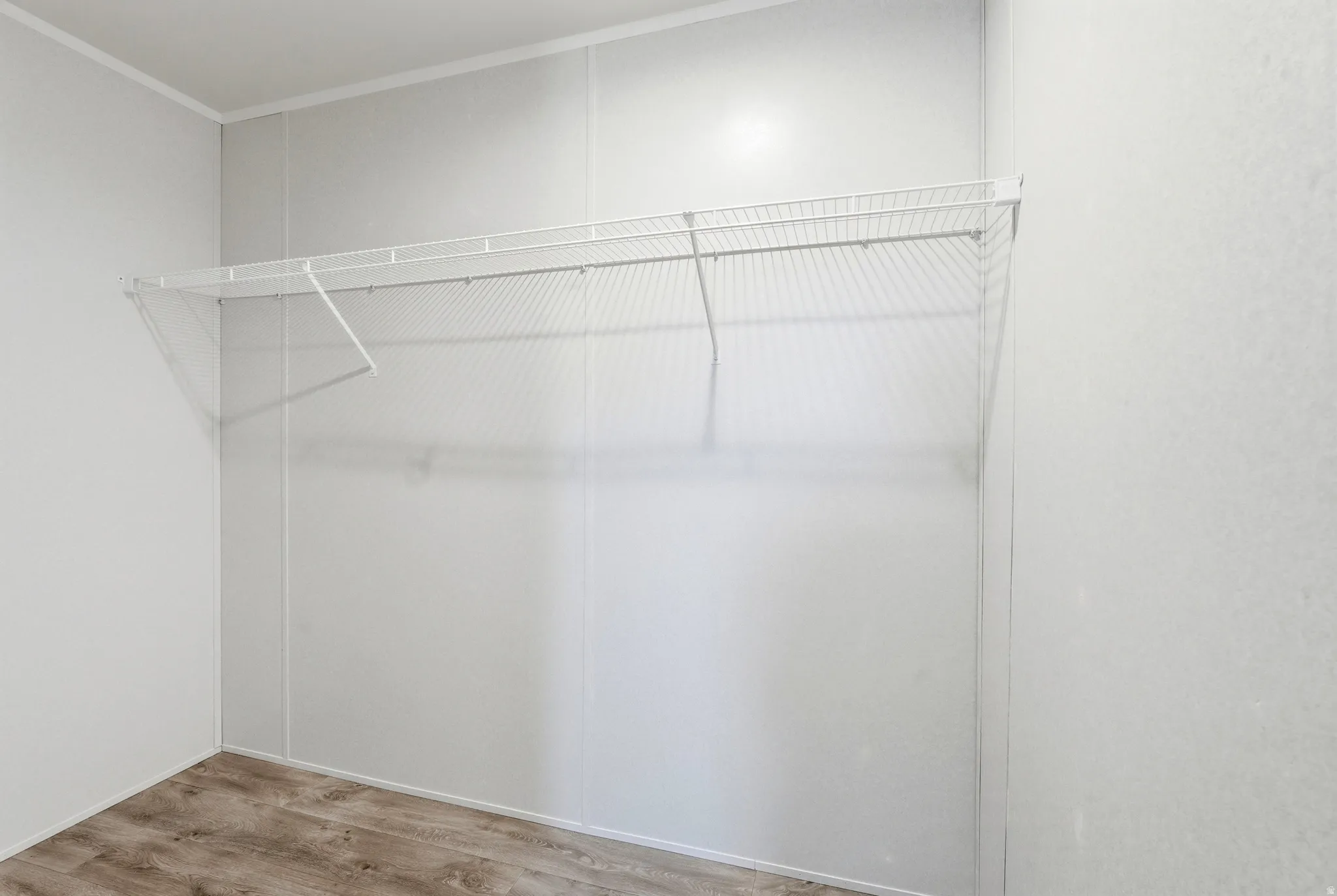 Walk in closet with light wood-style flooring