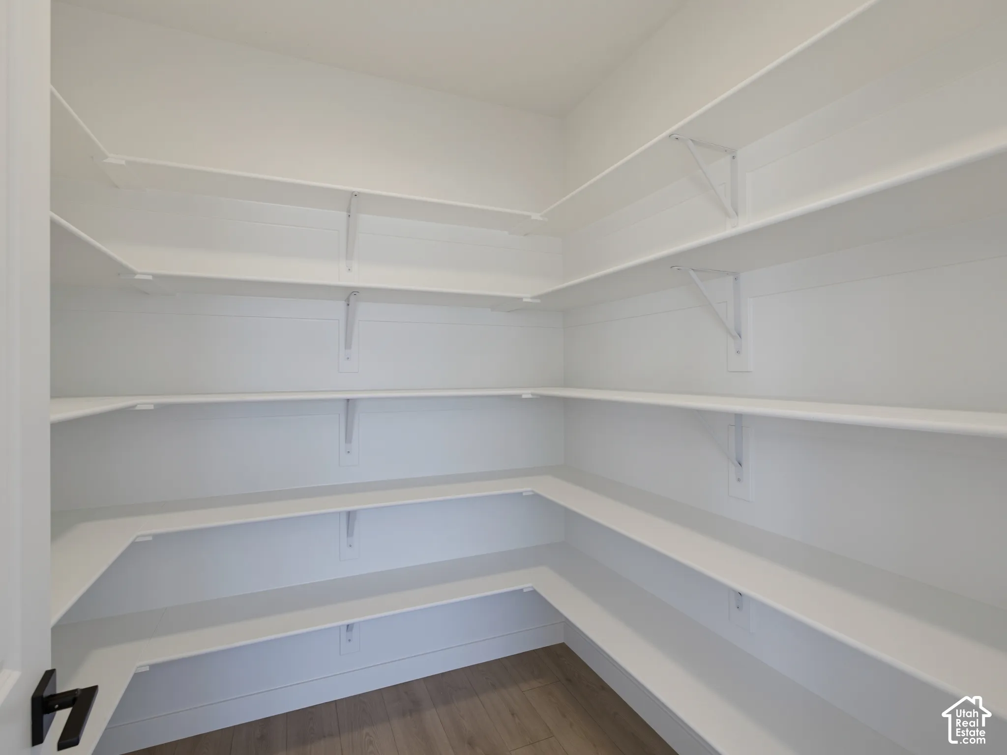 Spacious pantry featuring multiple white shelves, white wall finishes, and wood-finish flooring