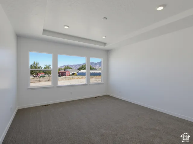 Recessed lighting with a tray ceiling, expansive wall-to-wall carpeting, and multiple windows providing natural illumination