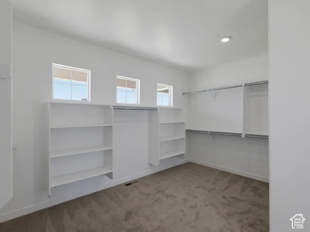 Spacious closet with built-in shelving, hanging rods, recessed lighting, and soft carpet flooring