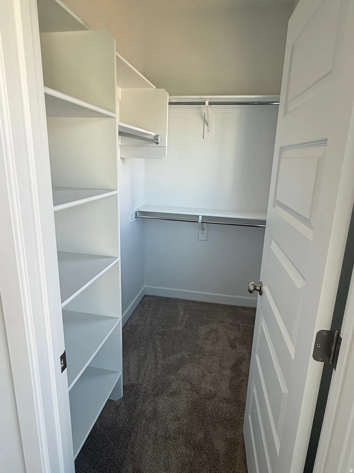 Walk in closet featuring dark colored carpet