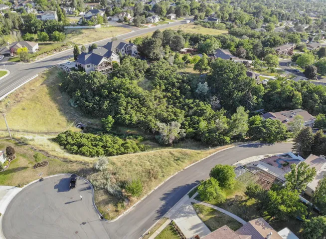 Aerial view of residential area