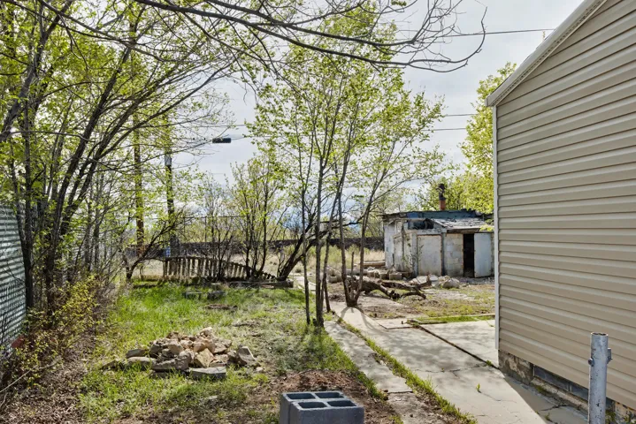 View of yard with a patio and an outbuilding
