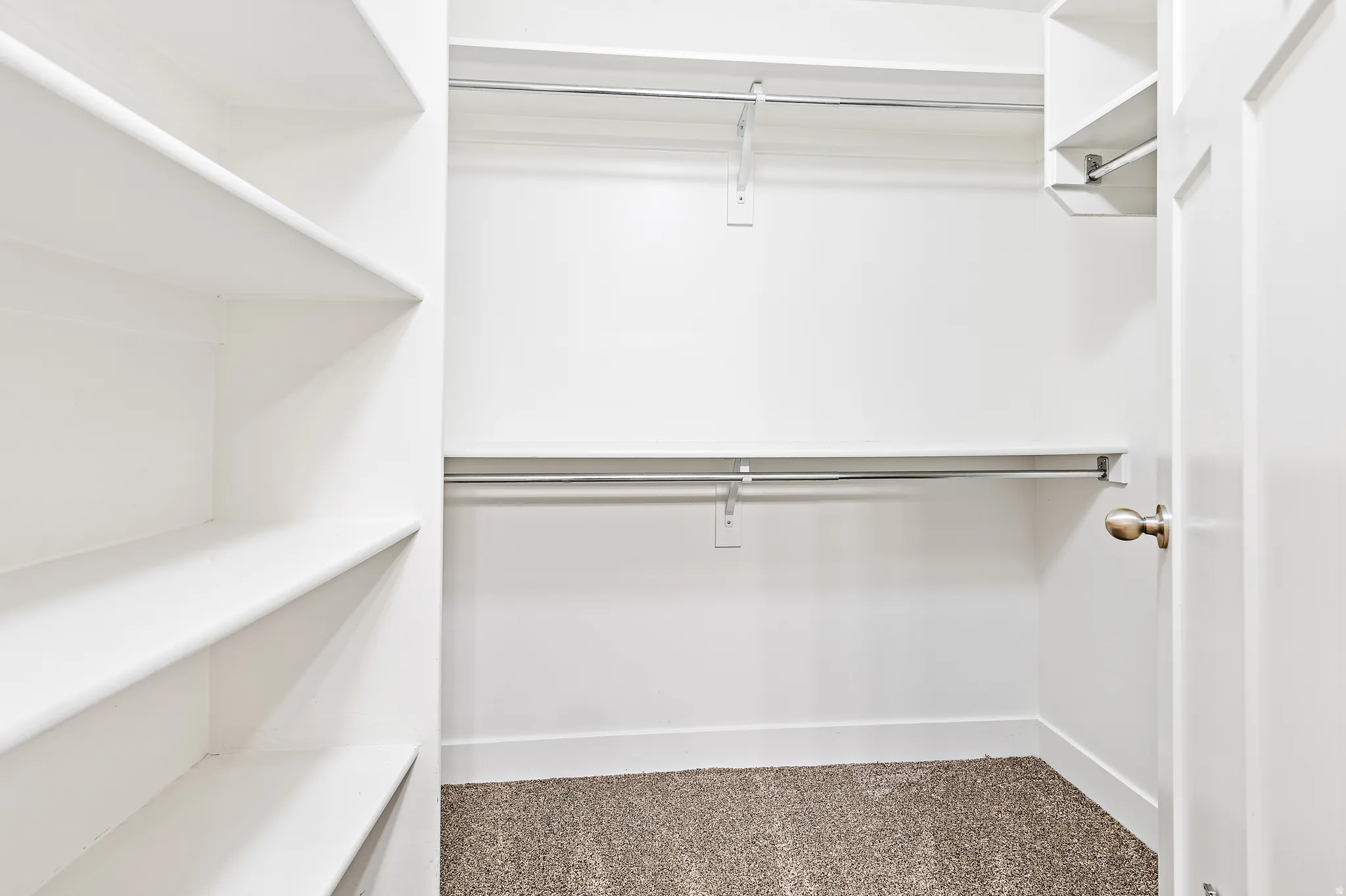 Walk in closet featuring carpet