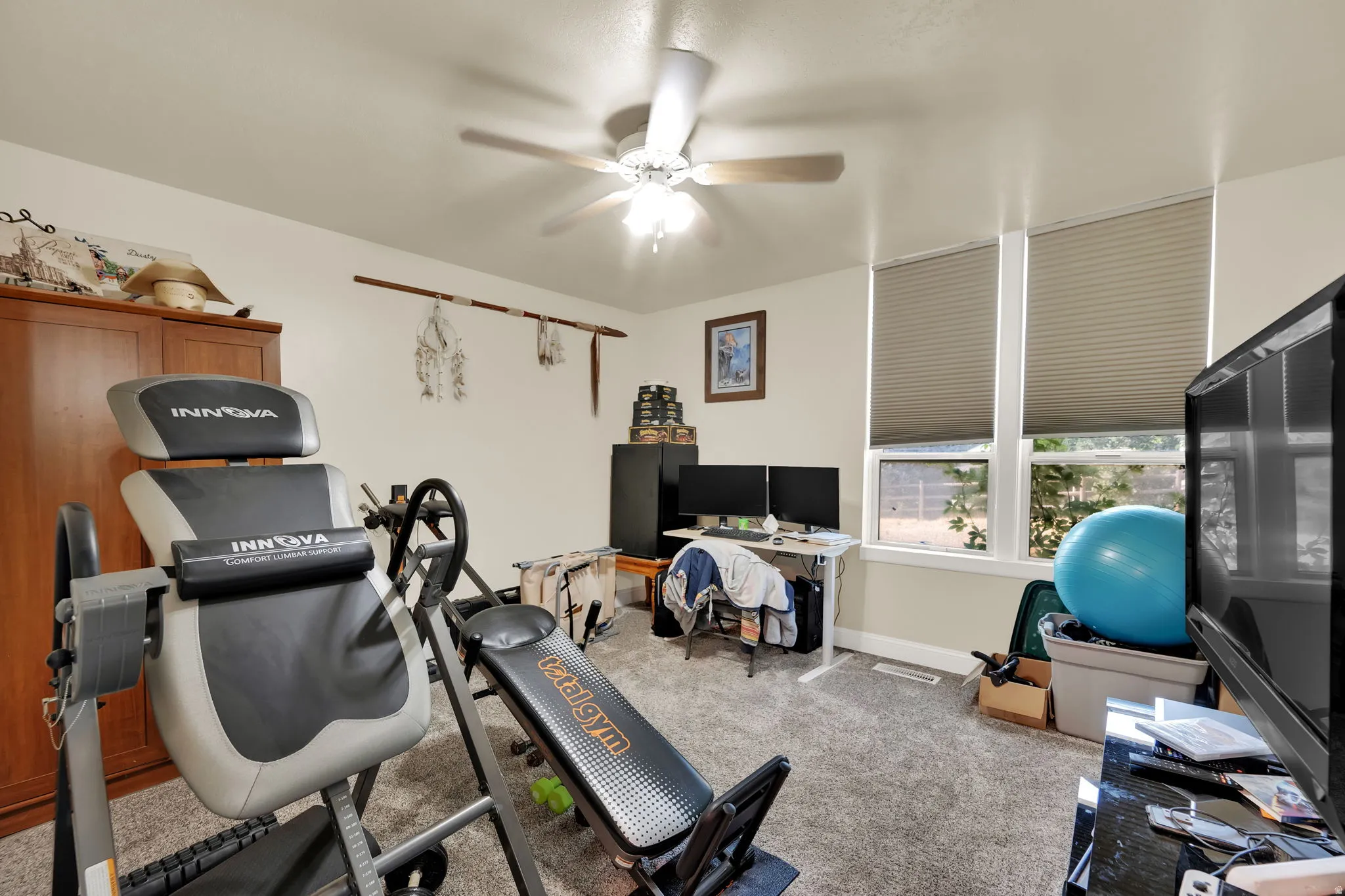 Workout room featuring carpet flooring and ceiling fan