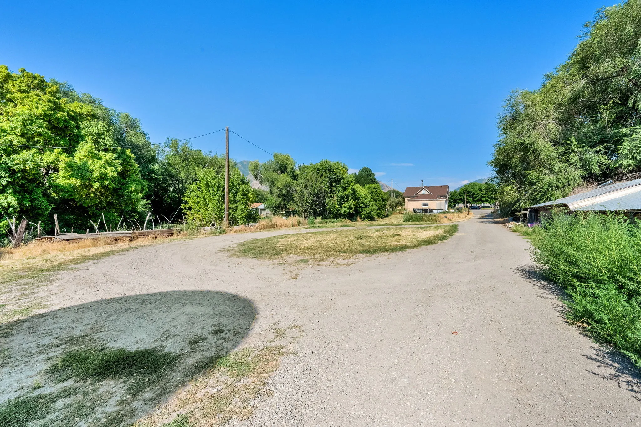 View of dirt / gravel road with view of scattered trees