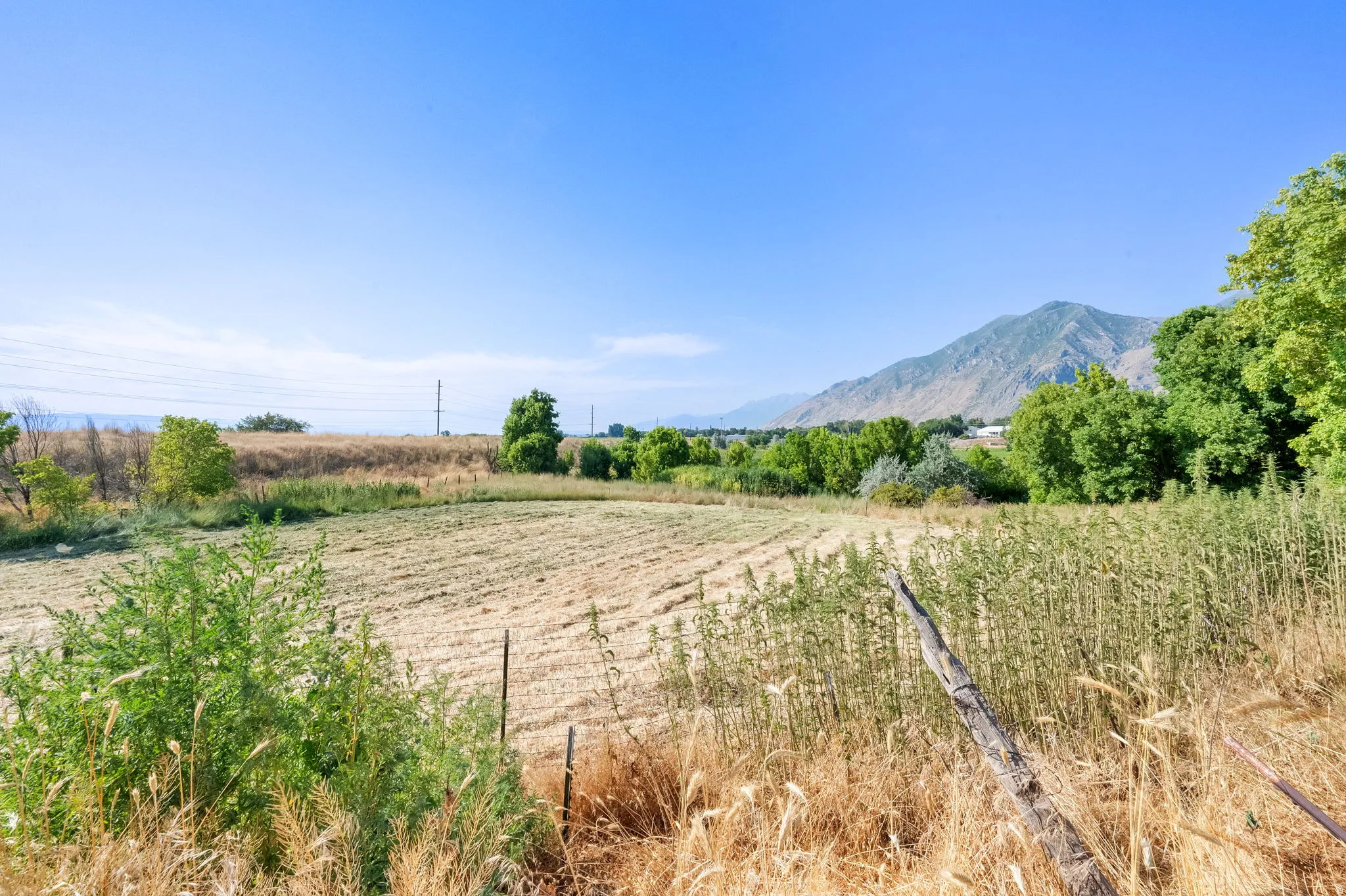View of yard with a rural view and a mountain view