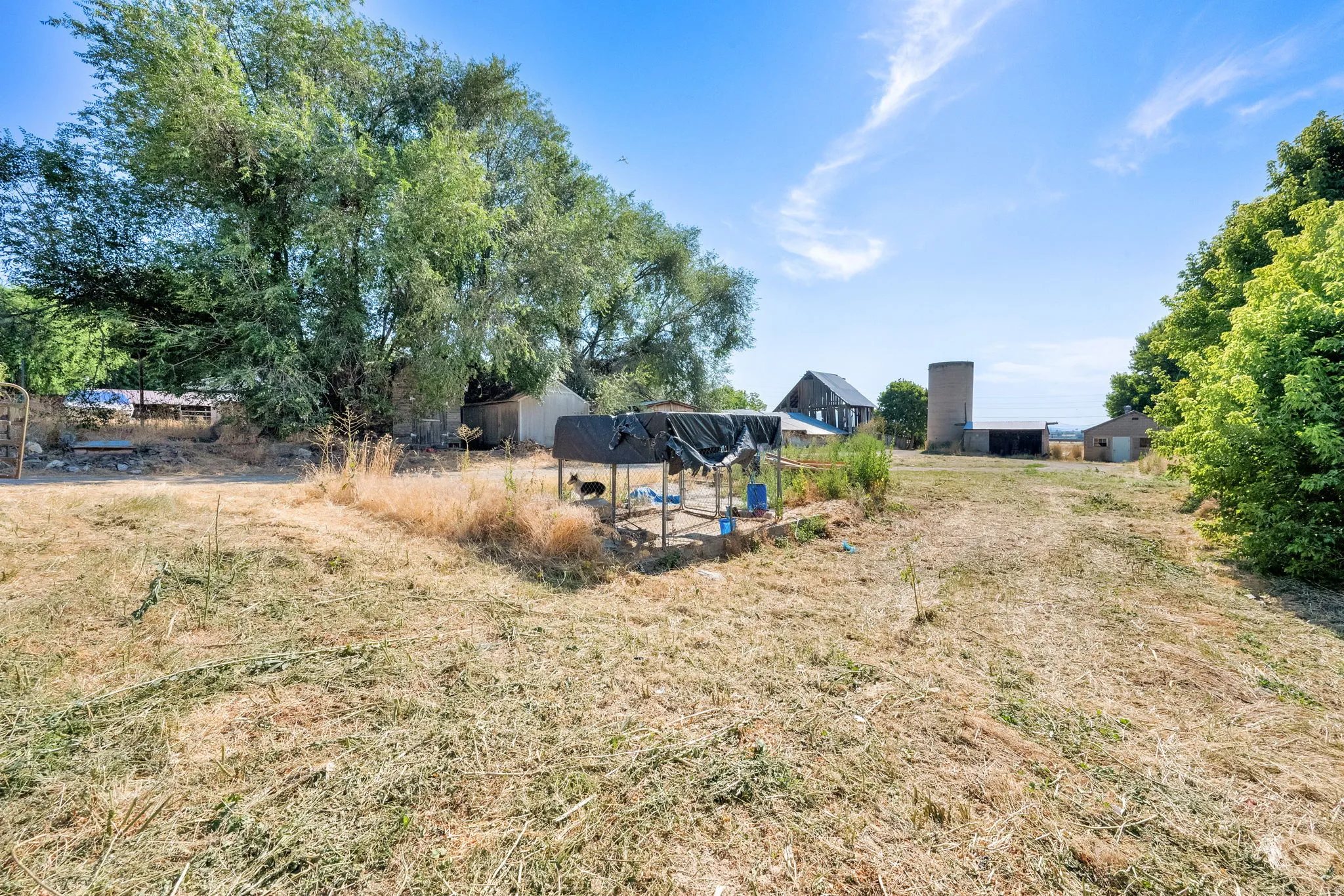 View of yard with a patio