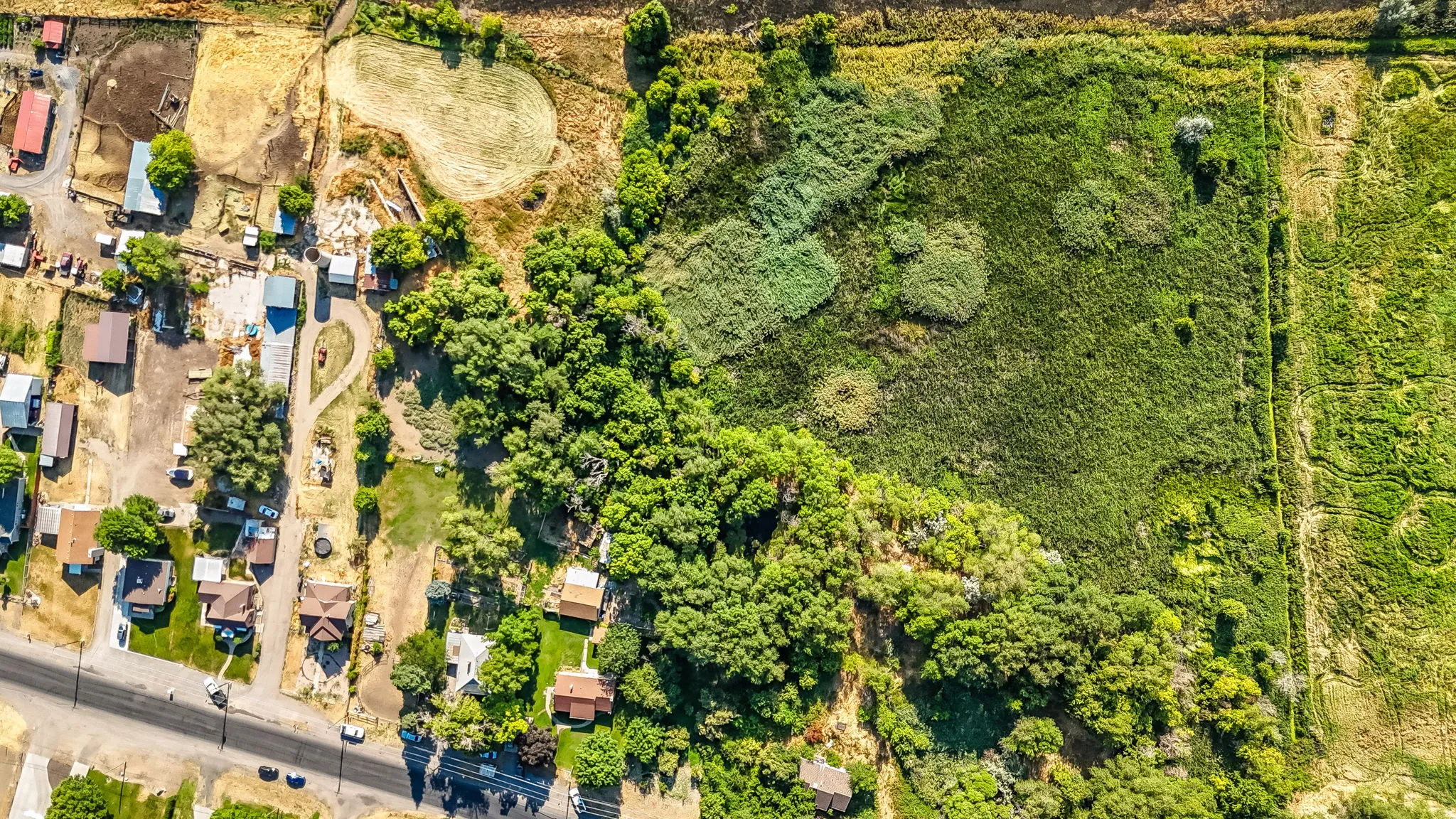 Aerial view