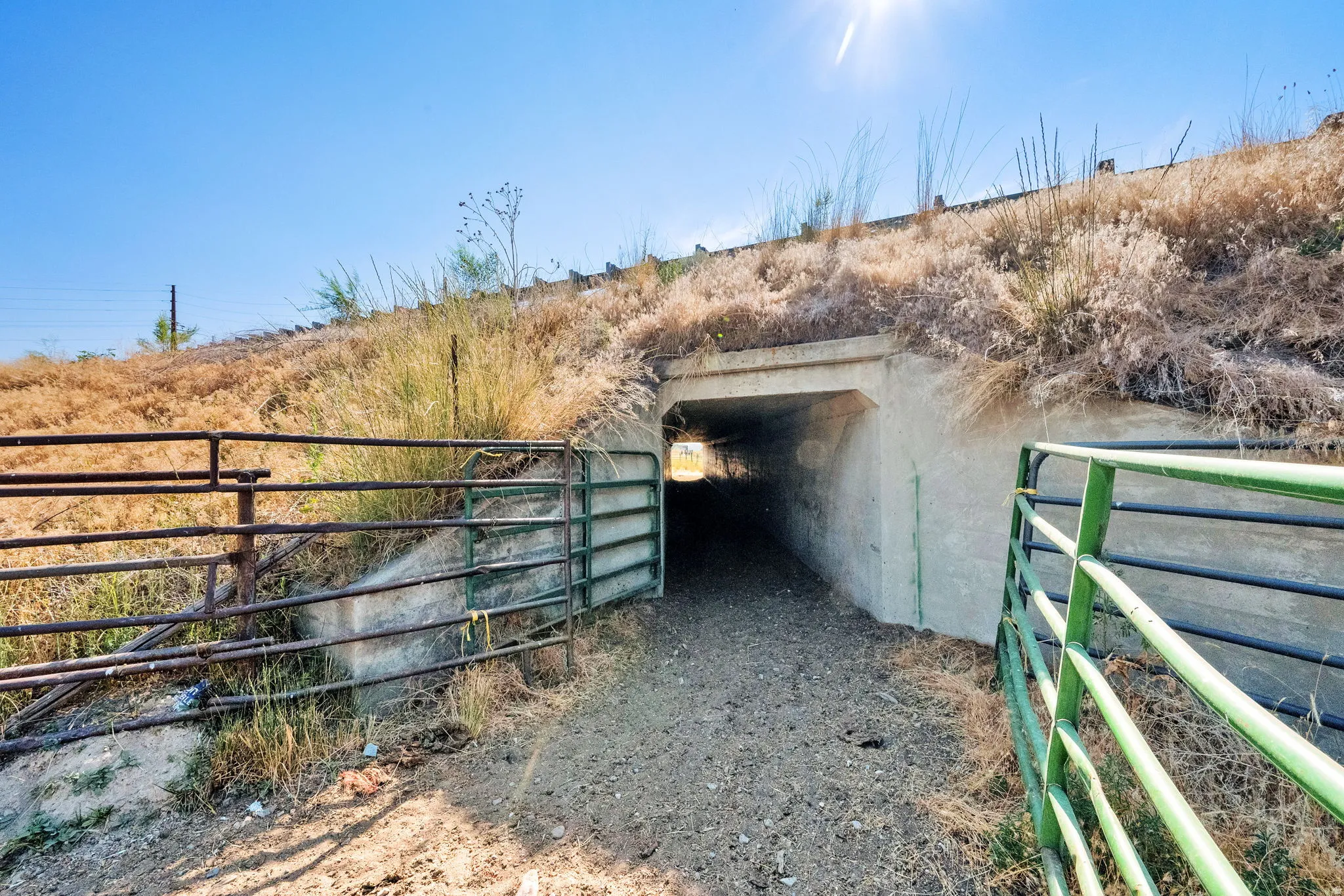 View of gate