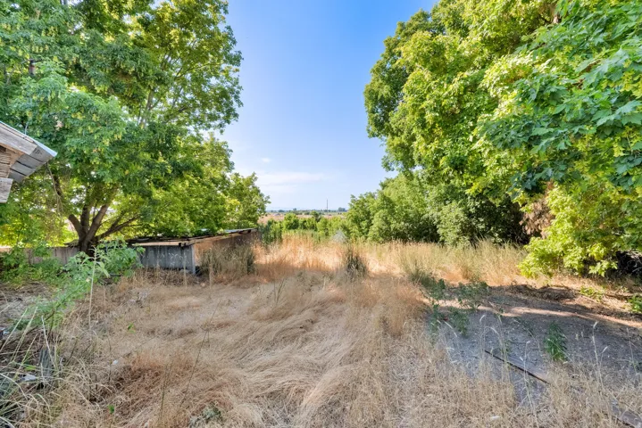 View of nature