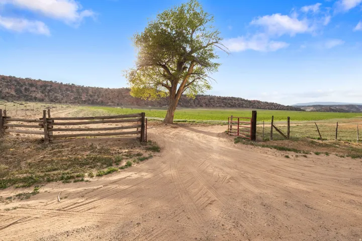 2275 N Pine Rd, Escalante, Utah 84726