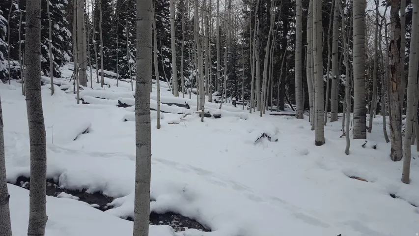 View of snowy yard