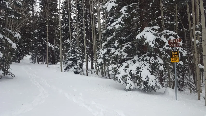 View of yard layered in snow