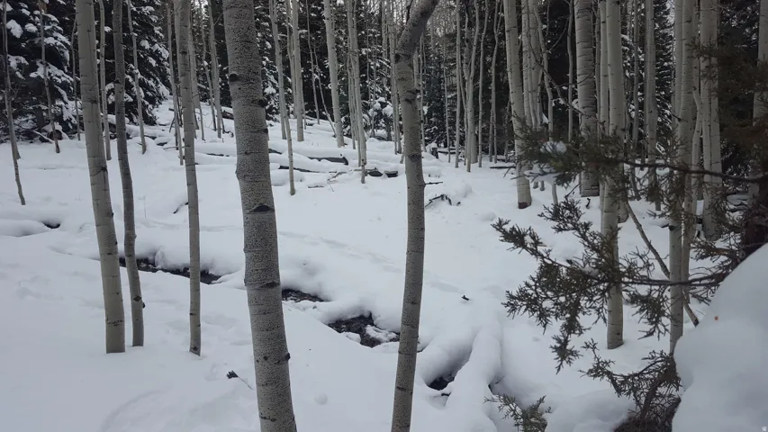 View of yard layered in snow
