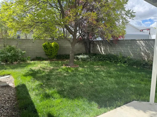 View of fenced backyard