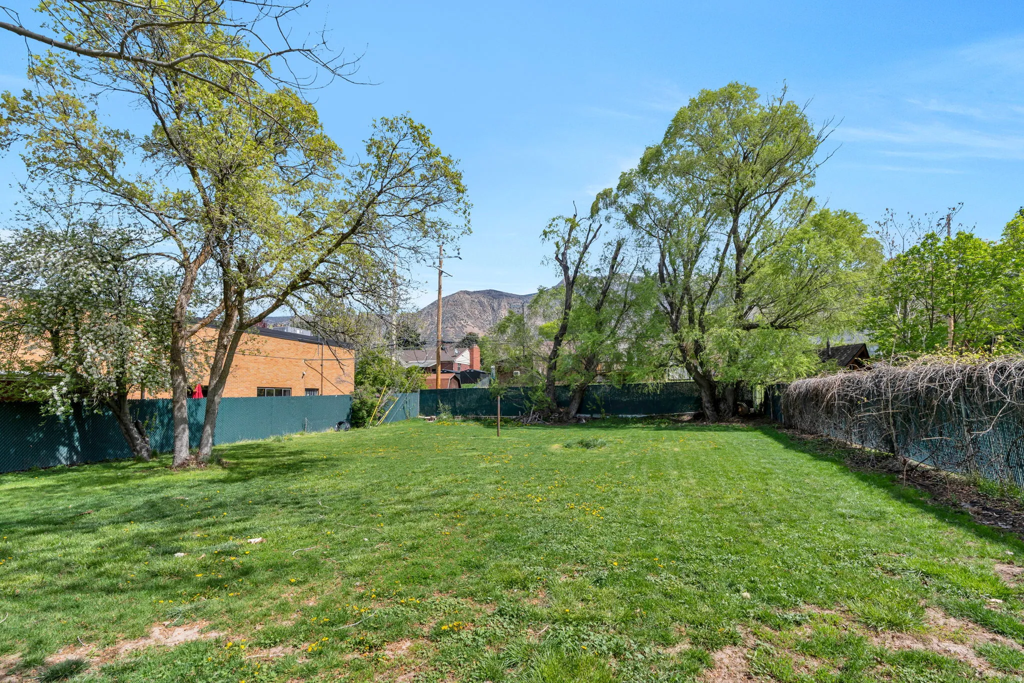 Fenced backyard with a mountain view