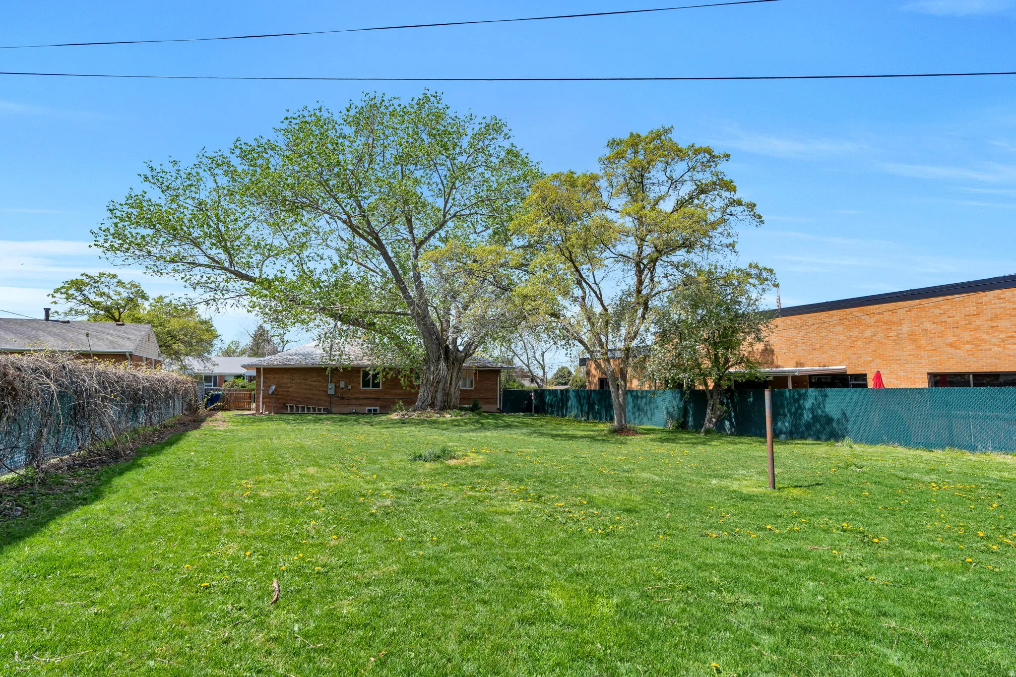 View of fenced backyard