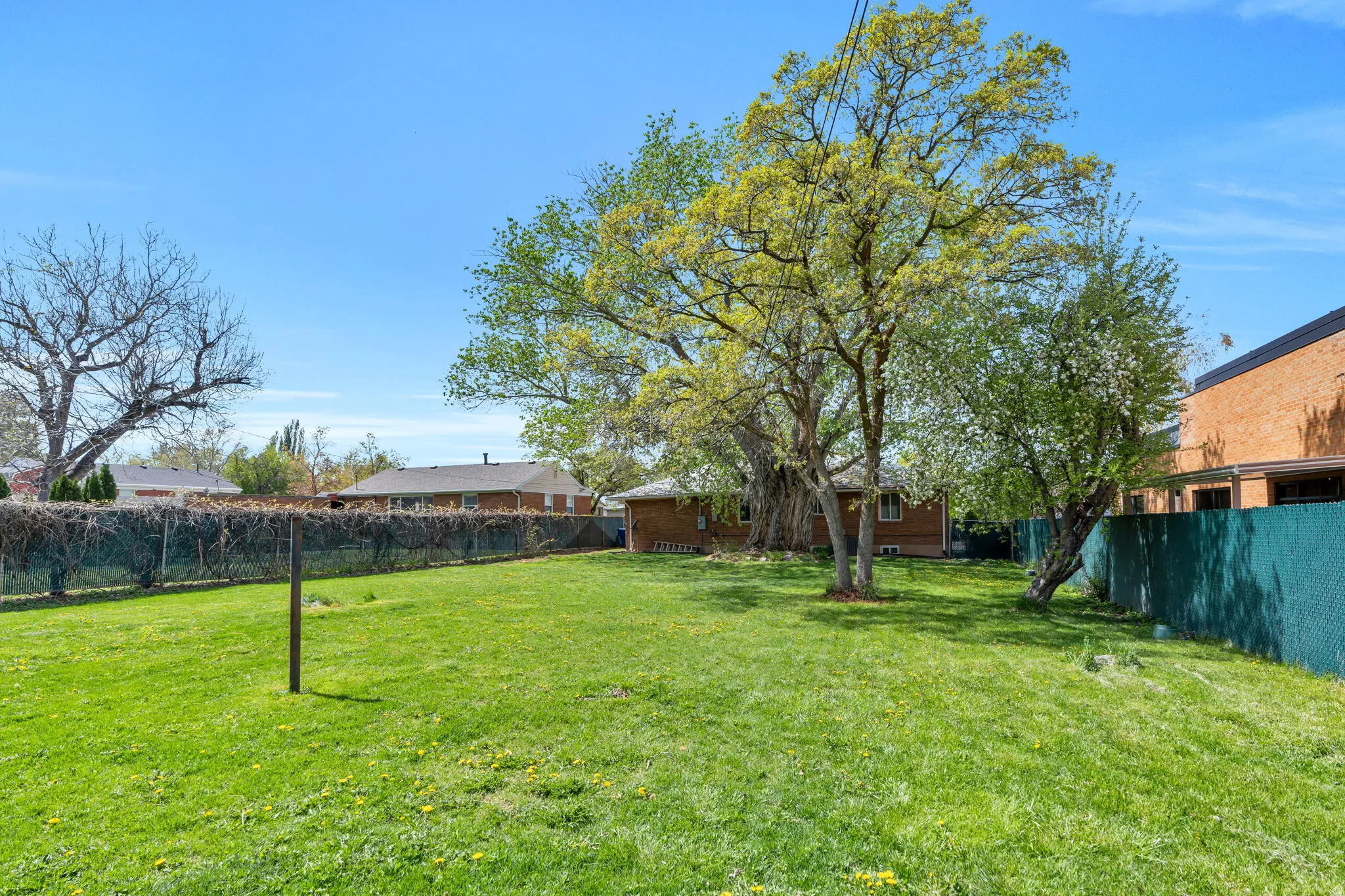 View of fenced backyard
