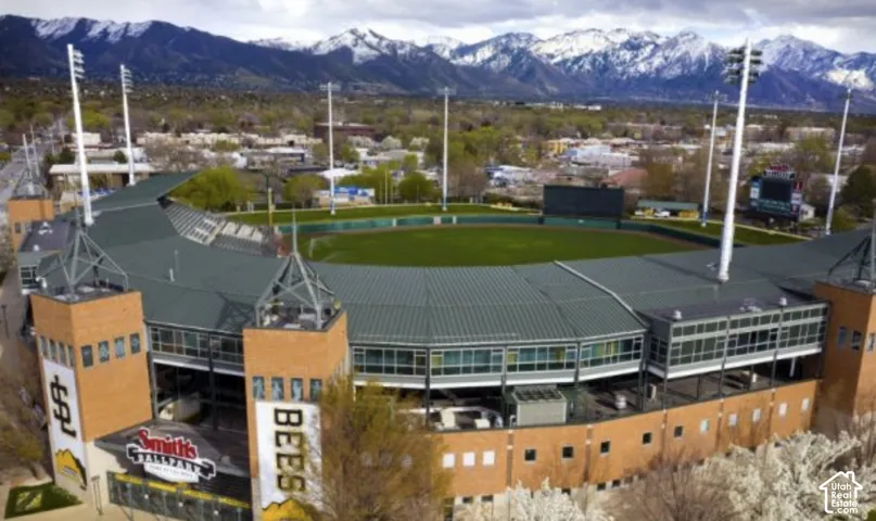 Bee's Baseball Park
