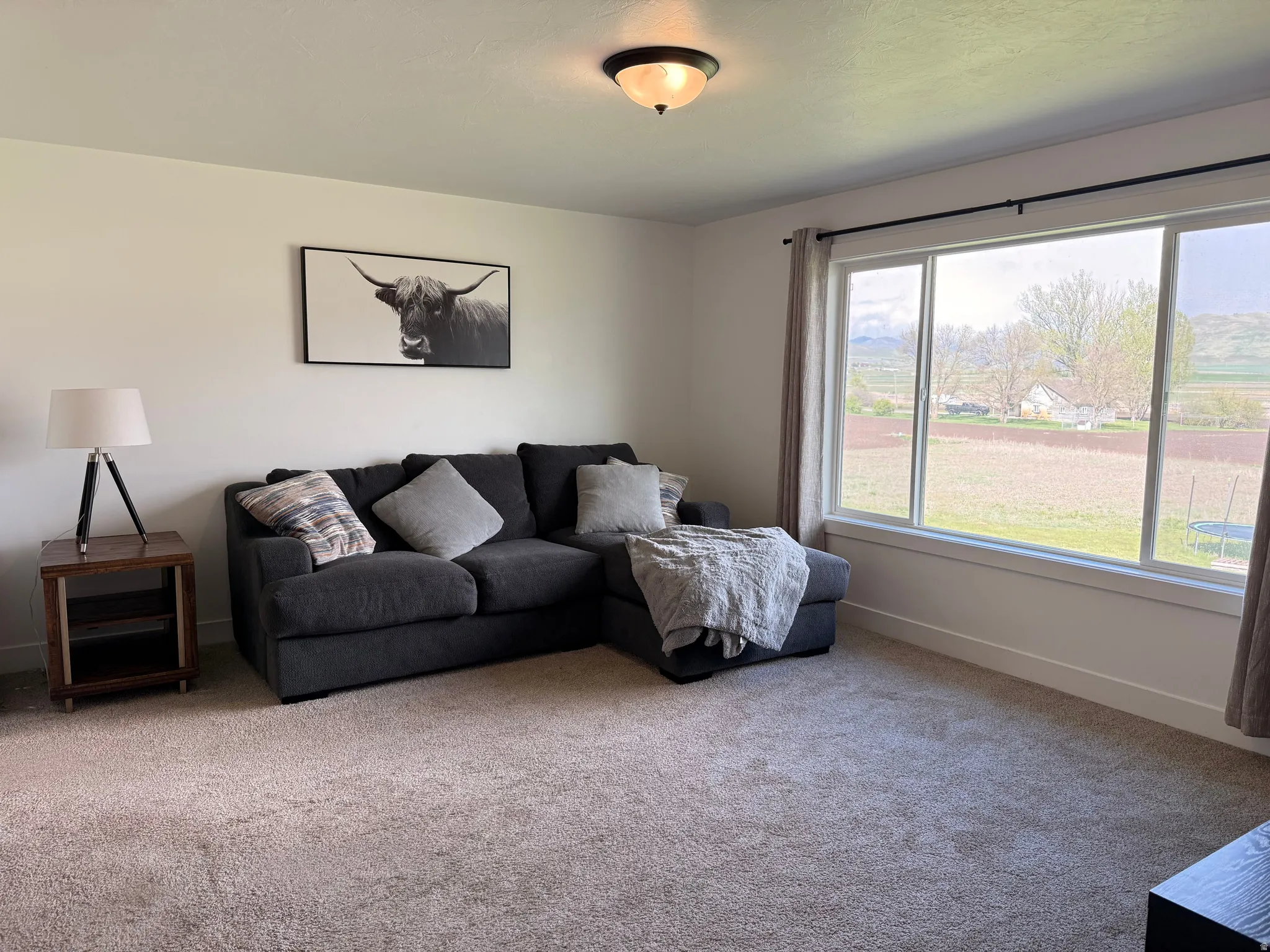 Carpeted living room featuring baseboards