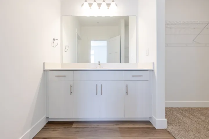 White vanity with shaker-style cabinetry, a single basin sink, a large mirror, and overhead vanity lighting