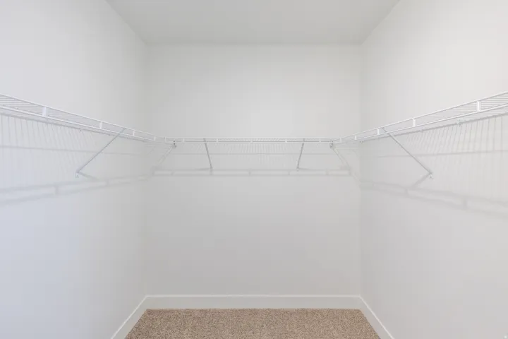 Walk-in closet with white wire shelving and carpeting