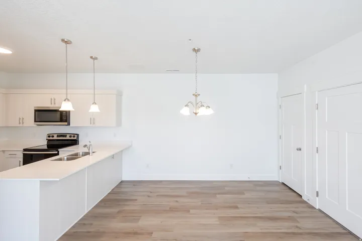 Kitchen featuring light-toned cabinetry, stainless steel appliances, a double basin sink, two pendant lights, and wood-finish flooring
