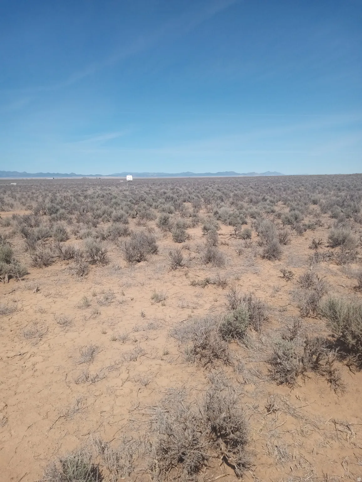 View of nature with a desert landscape and a mountainous background