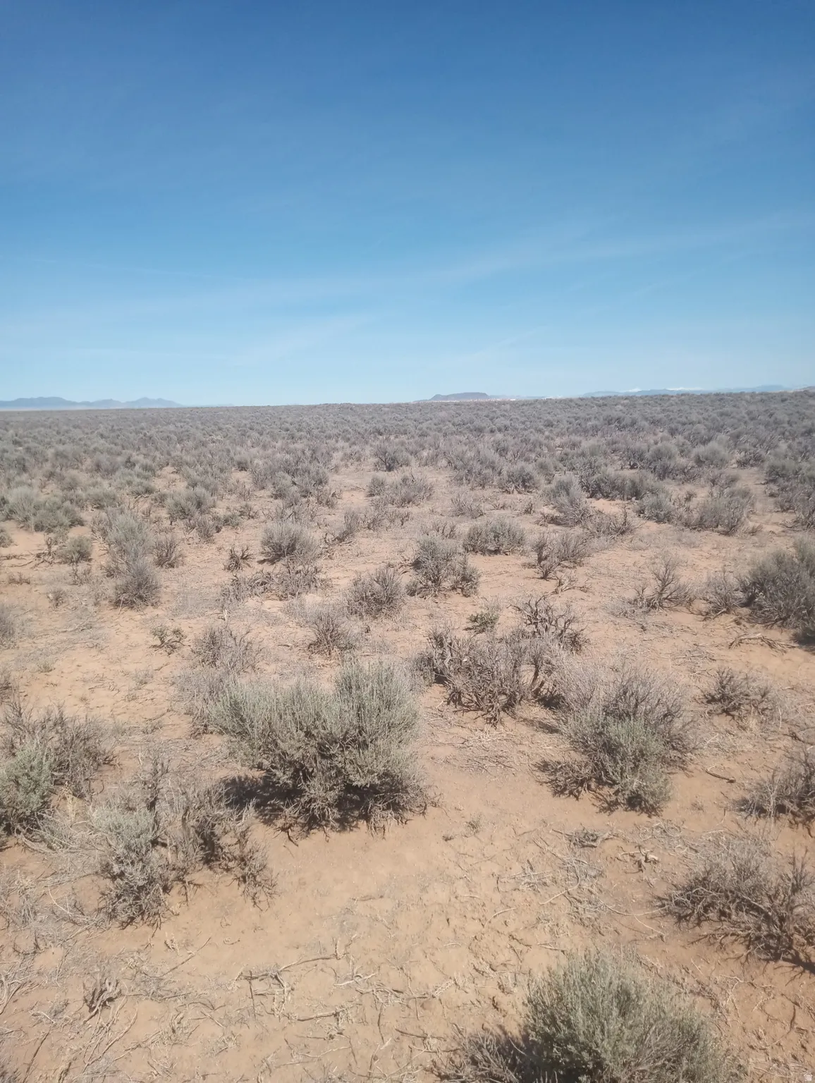 View of nature with a desert landscape and rural landscape