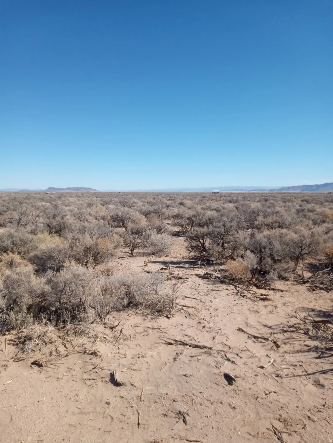 View of local wilderness with rural landscape
