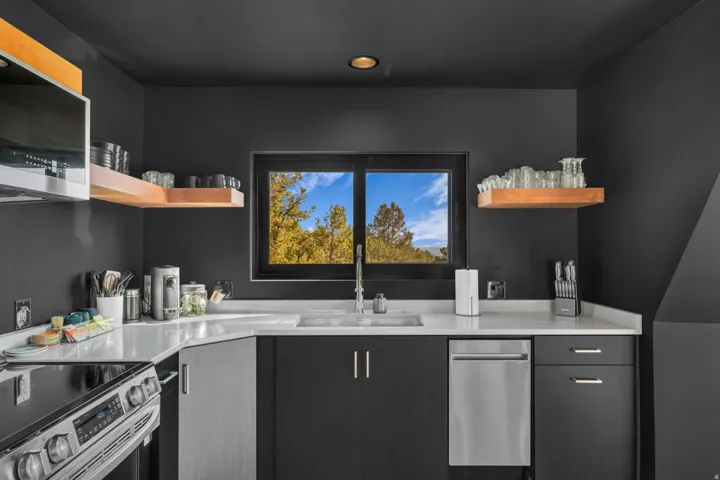 Kitchen featuring open shelves, stainless steel appliances, modern cabinets, recessed lighting, and dark cabinets
