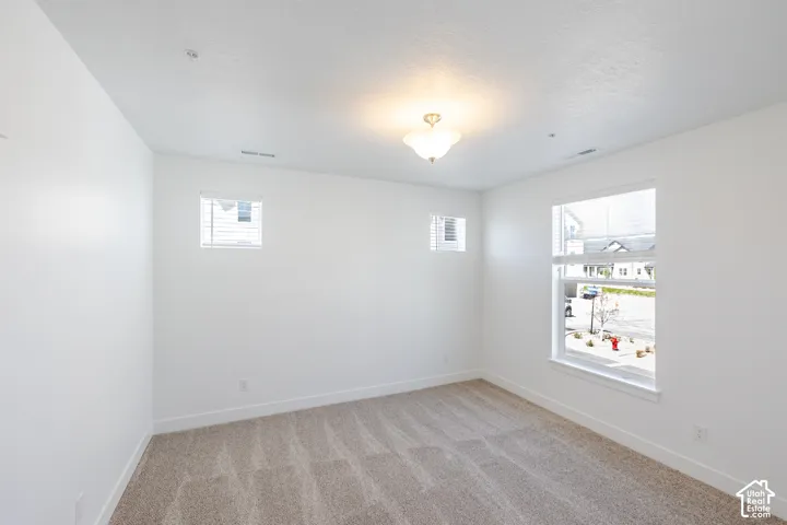 Neutral-toned carpeting, white walls, and a ceiling-mounted light fixture