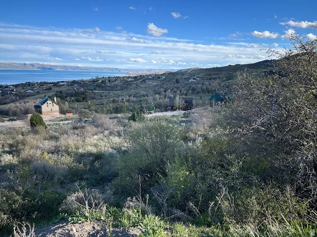 View of mountain background