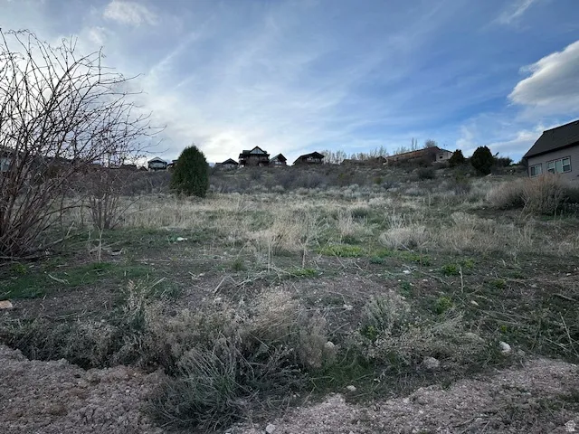 View of local wilderness
