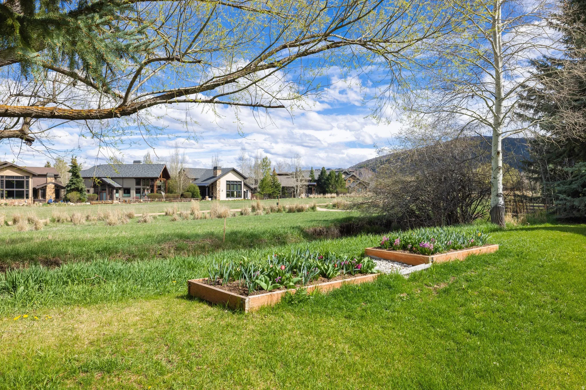 View of grassy yard featuring a vegetable garden