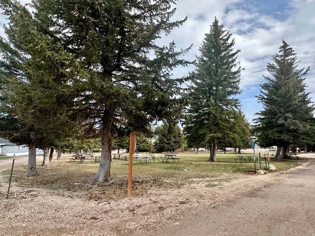 Large common area with lots of grass, picnic tables