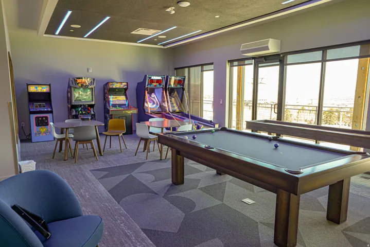 Recreation room with billiards table